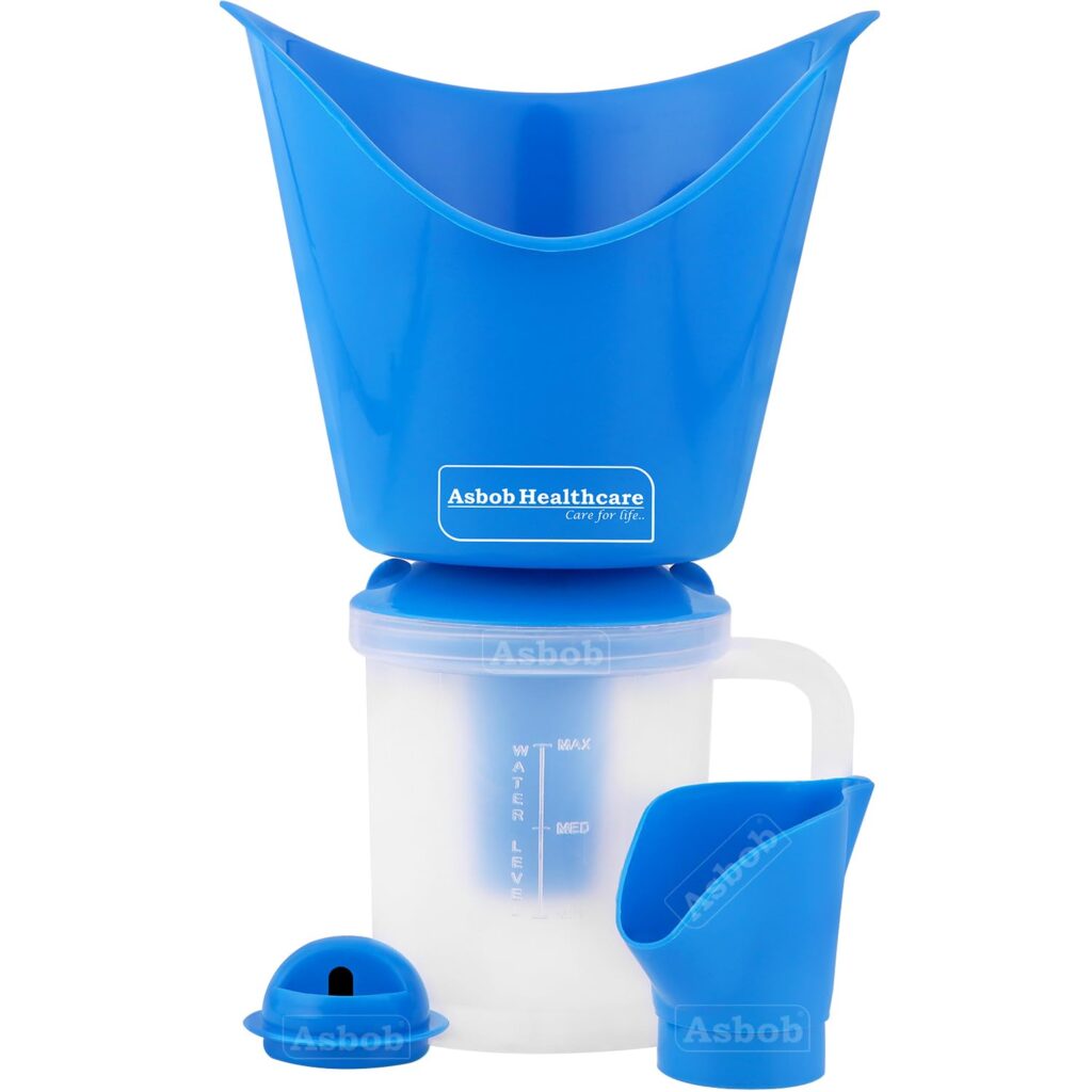 picture of a Steamer (Vaporizer)