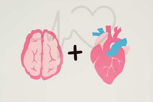 Illustration of a brain and a heart side by side with a plus sign.